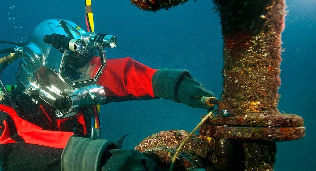 DAS Ocean | restaurant | 8500 Cypresswood Dr, Houston, TX 77070, USA | 7132545770 OR +1 713-254-5770