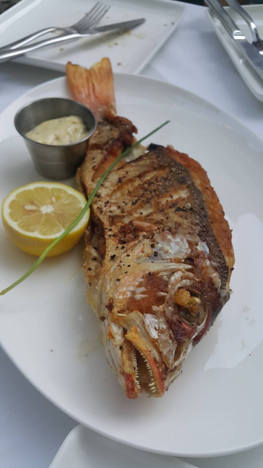 Yebo Beach Haus | restaurant | 111 West Paces Ferry Rd NW, Atlanta, GA 30305, USA | 4048691992 OR +1 404-869-1992