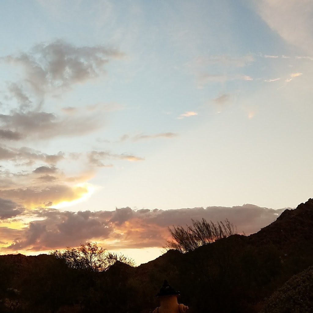 Starbucks | cafe | 3165 E Lincoln Dr, Phoenix, AZ 85016, USA | 6029562394 OR +1 602-956-2394