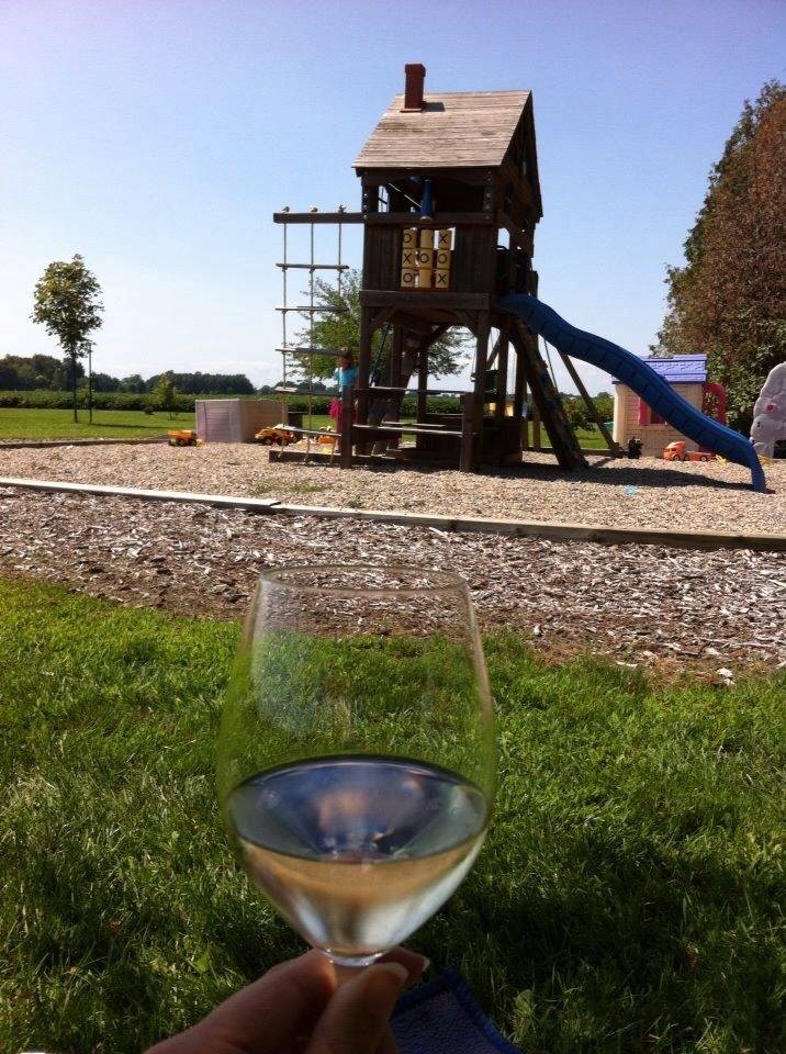 Coopers Hawk Vineyards and The Vines Restaurant | restaurant | 1425 Iler Rd, Harrow, ON N0R 1G0, Canada | 5197384295 OR +1 519-738-4295