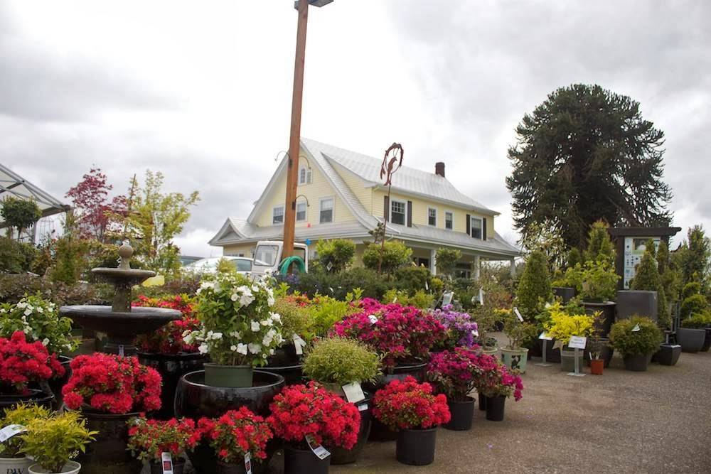 Cornell Farm | restaurant | 8212 SW Barnes Rd, Portland, OR 97225, USA | 5032929895 OR +1 503-292-9895