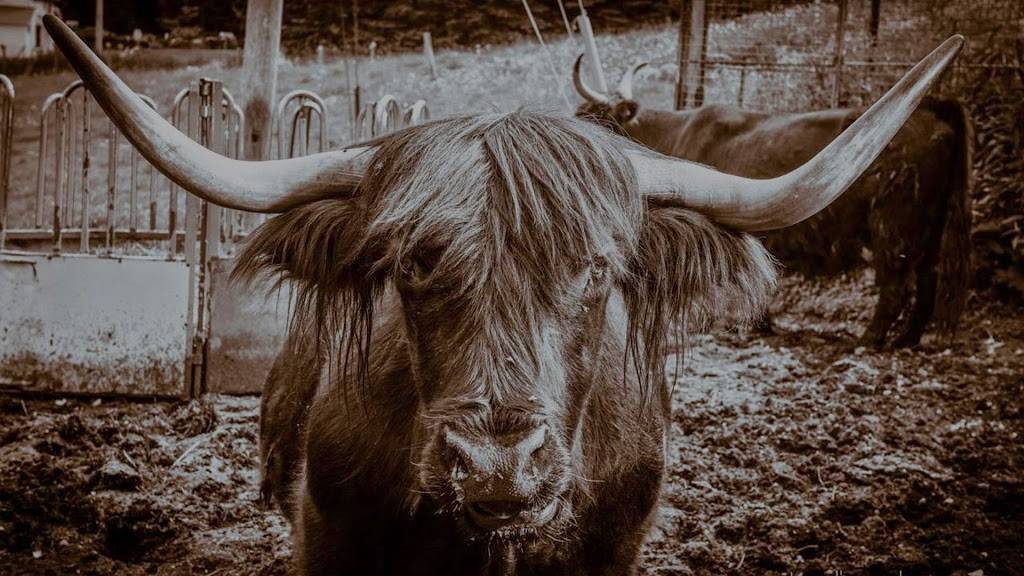 Restaurant Les Têtes de Cochon | restaurant | 15 Rue Maurice Aveline, Sainte-Adèle, QC J8B 2M8, Canada | 4507454047 OR +1 450-745-4047