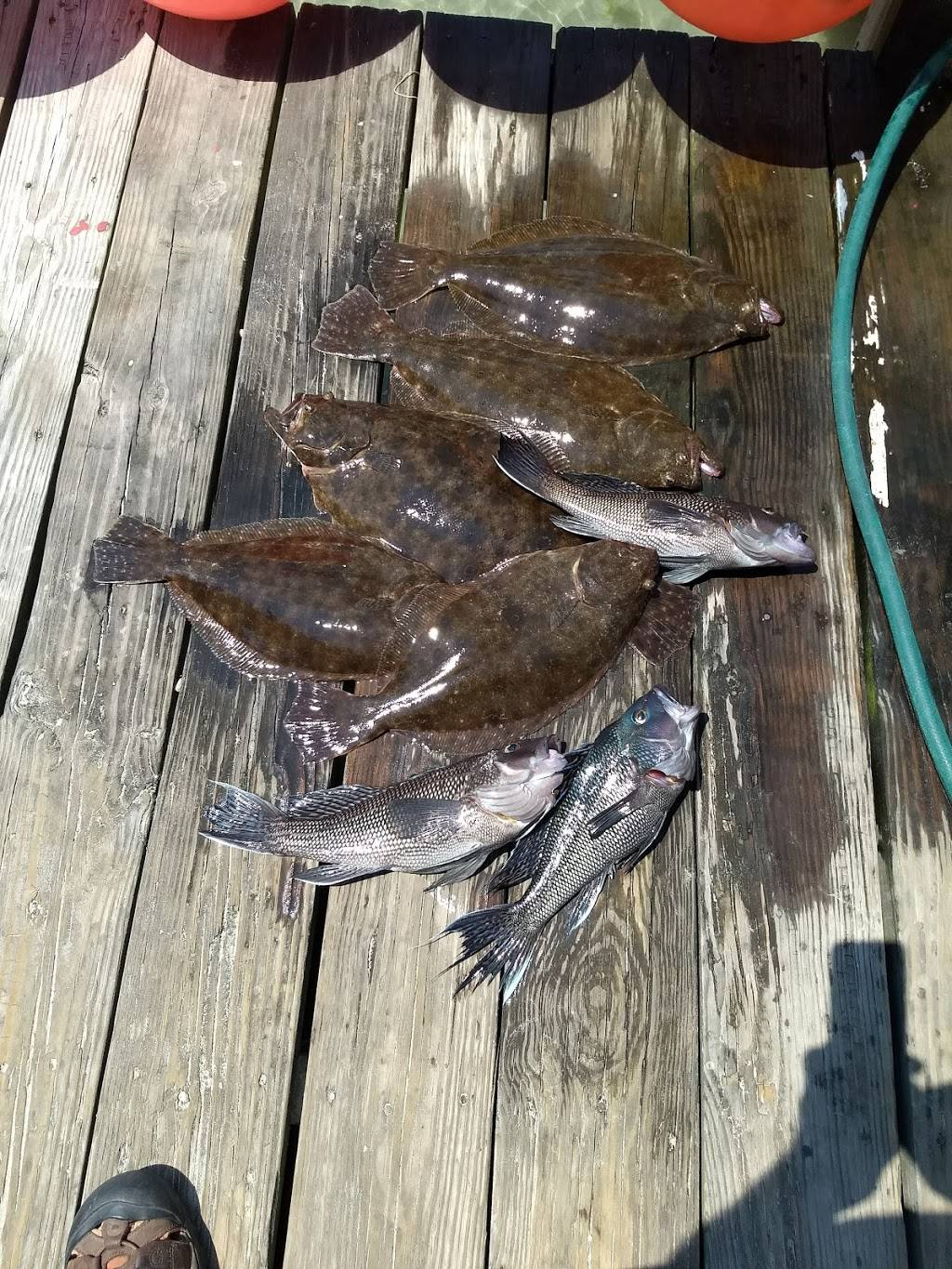 Teds Fishing Station | restaurant | 143 Bayside Dr, Point Lookout, NY 11569, USA | 5164314193 OR +1 516-431-4193