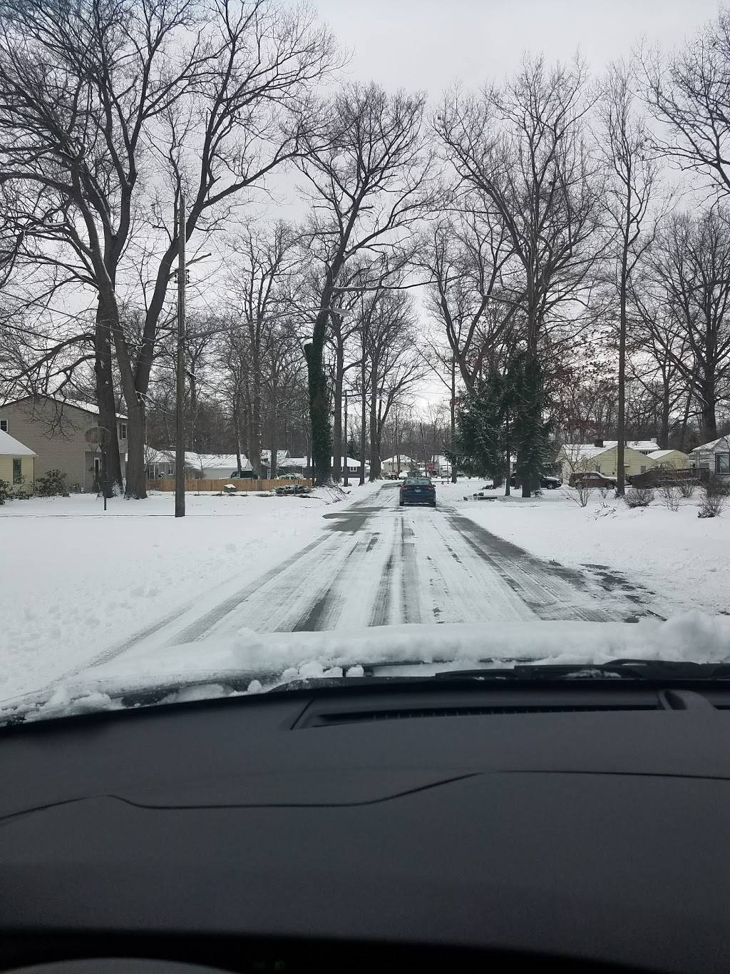 Papa Johns Pizza | restaurant | 6289 Reynolds Rd, Mentor, OH 44060, USA | 4402091901 OR +1 440-209-1901