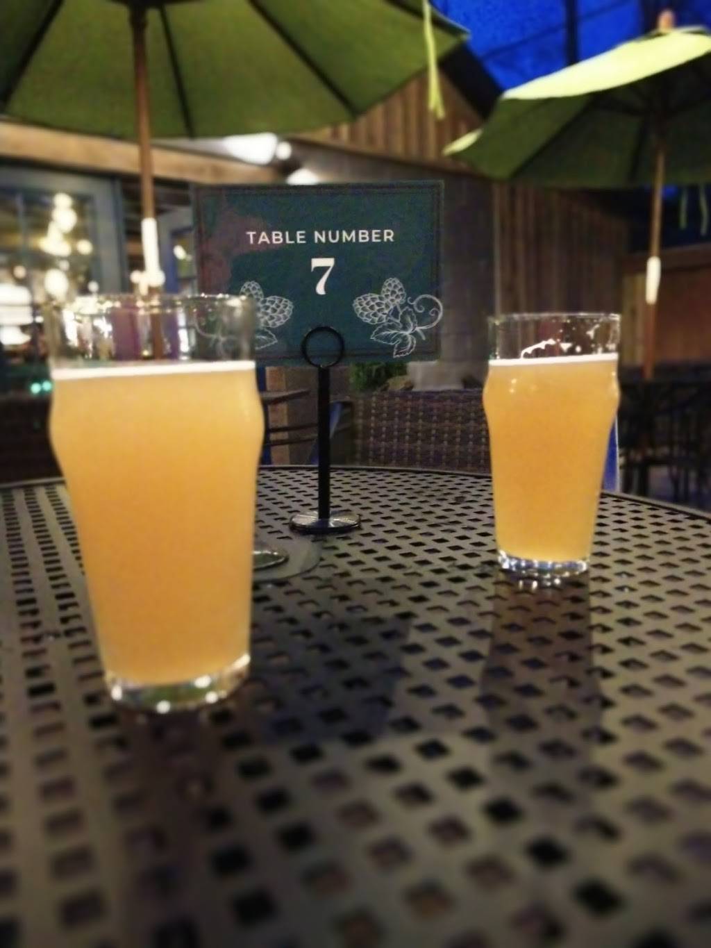 The Freefolk Brewery | restaurant | 1690 Court Street, Fayetteville, WV 25840, USA | 3049005238 OR +1 304-900-5238