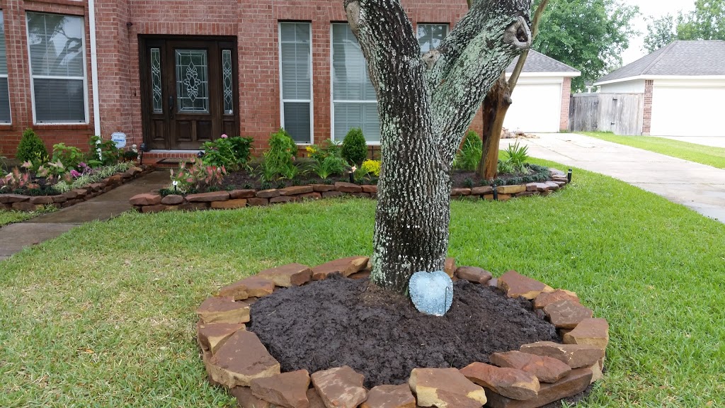 Bahama Bucks - Houston (Katy Freeway) | restaurant | 11300 Katy Fwy a400, Houston, TX 77043, USA | 2815890002 OR +1 281-589-0002