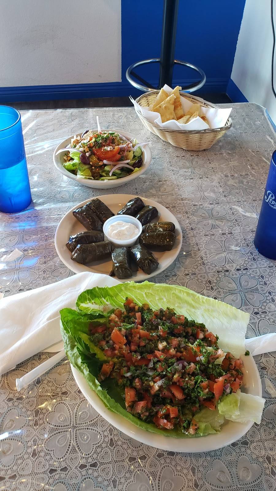 Yannis Gyros | restaurant | 9770 S Maryland Pkwy # 6, Las Vegas, NV 89183, USA | 7022609397 OR +1 702-260-9397