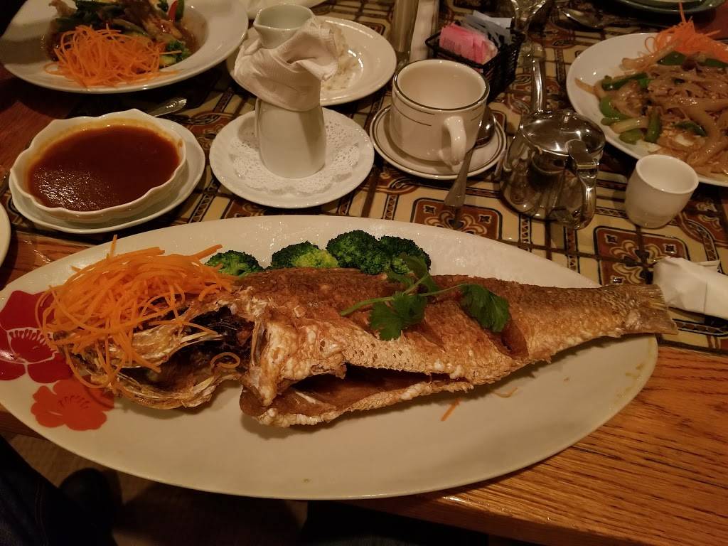 Jasmine Thai | restaurant | 1947 W Lumsden Rd, Brandon, FL 33511, USA | 8136623635 OR +1 813-662-3635