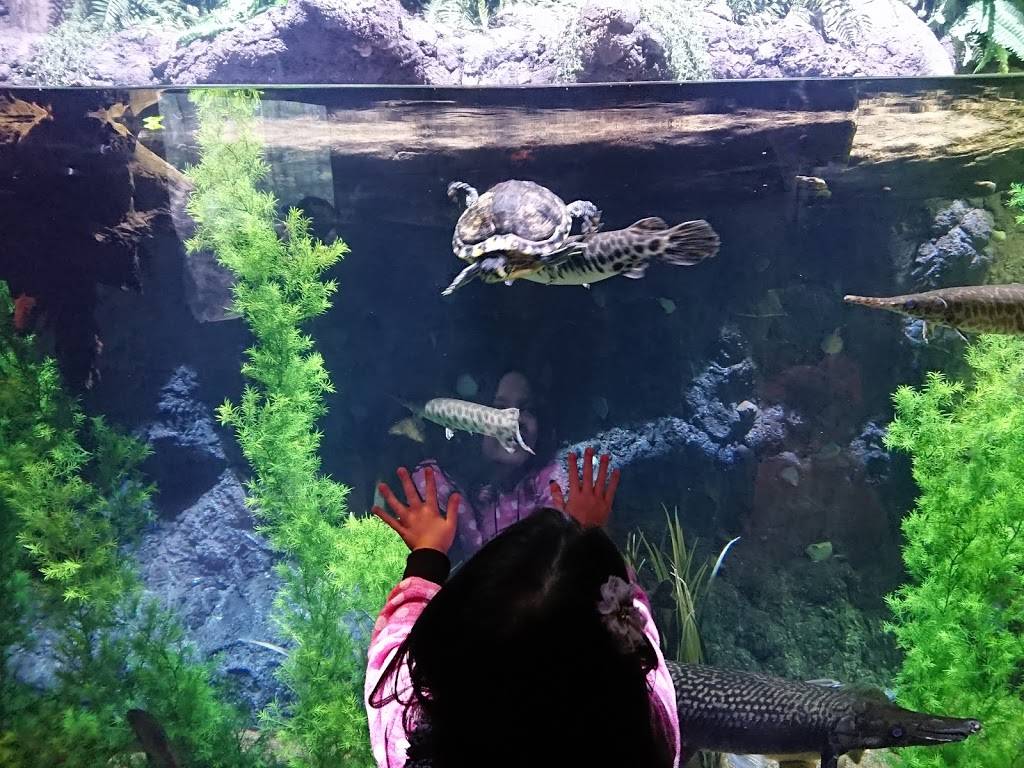 The Aquarium | restaurant | Gulf Fwy, Houston, TX 77002, USA | 2813645341 OR +1 281-364-5341