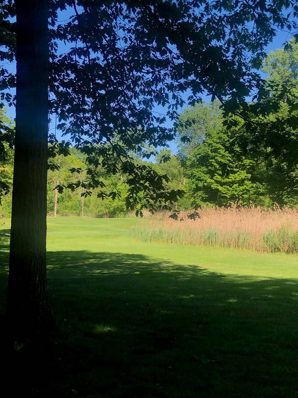 Pine Trace Golf Club | restaurant | 3600 Pine Trace Blvd, Rochester Hills, MI 48309, USA | 2488527100 OR +1 248-852-7100