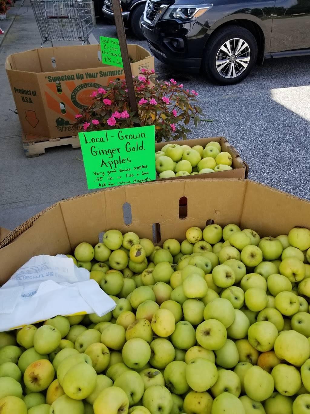 Country View Farm Market | bakery | 2680 Delta Rd, Brogue, PA 17309, USA | 8002931054 OR +1 800-293-1054