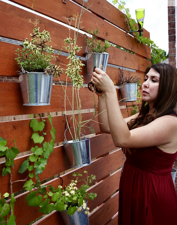 The Board Couple | restaurant | 2218 N Zarzamora St, San Antonio, TX 78201, USA | 2105732100 OR +1 210-573-2100