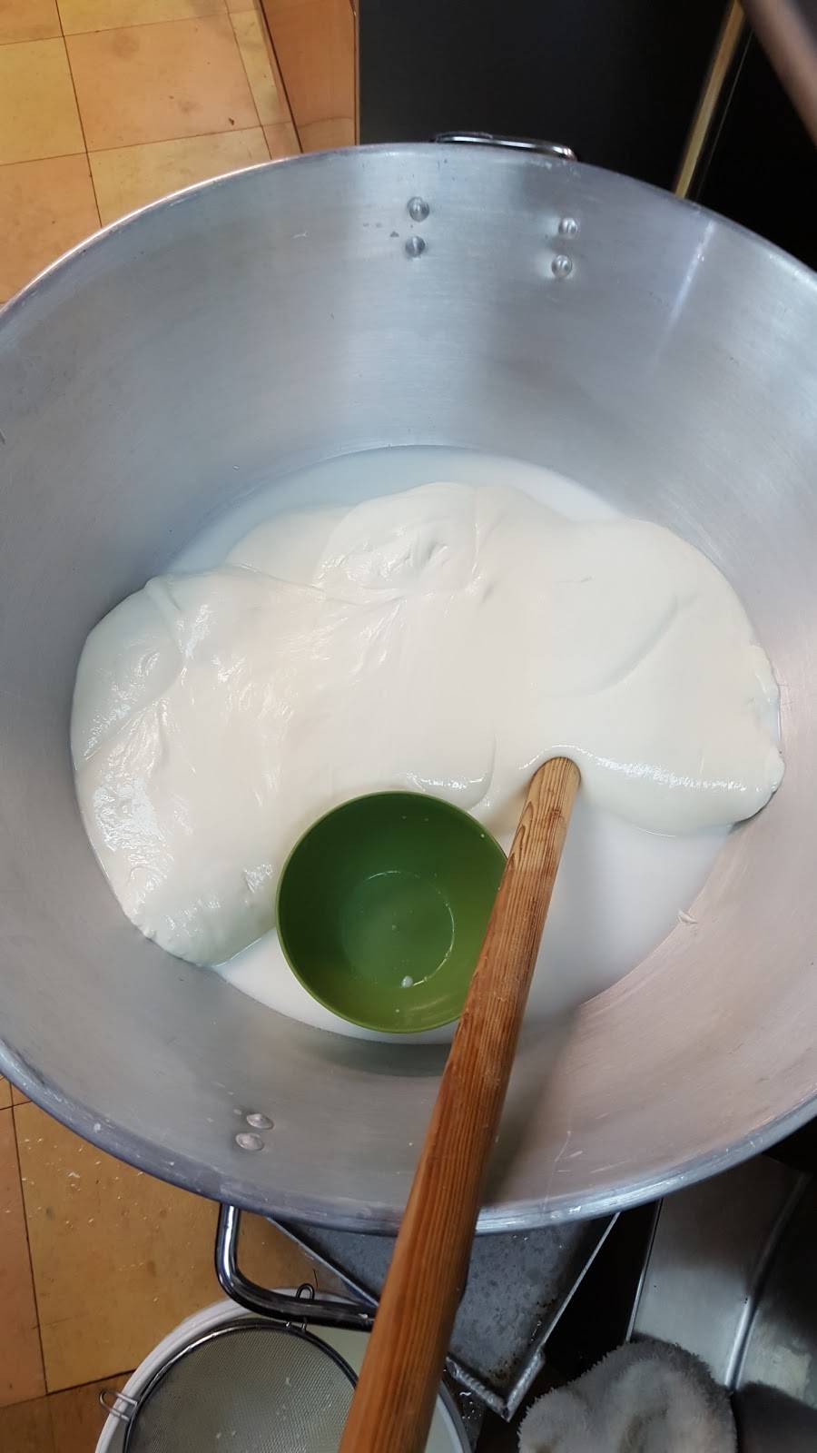 Mozzarella Bar | restaurant | 4004 W Neptune St #103, Tampa, FL 33629, USA | 8134732105 OR +1 813-473-2105