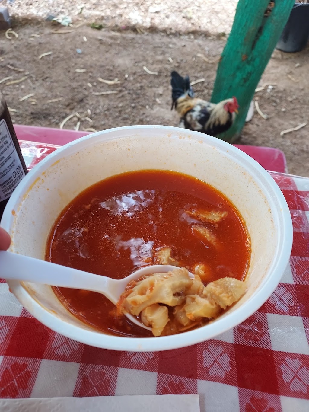 Carmelas Cocina | restaurant | 7730 N 83rd Ave, Glendale, AZ 85303, USA | 4806517896 OR +1 480-651-7896