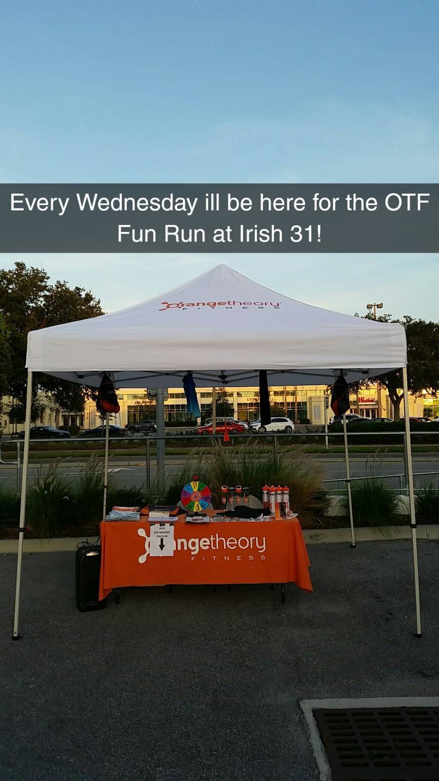 Irish 31 Sarasota | restaurant | 3750 S Tamiami Trail, Sarasota, FL 34239, USA | 9412349265 OR +1 941-234-9265