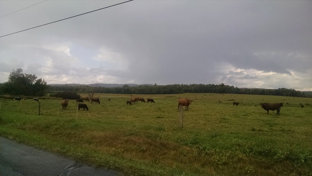 Wildwoods Trailside Cabins | restaurant | 125 Russell Rd, Brownville, ME 04414, USA | 2079650000 OR +1 207-965-0000