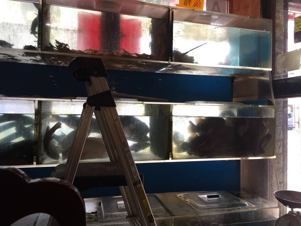 New Fulin Kwok | restaurant | 4619 8th Ave, Brooklyn, NY 11220, USA | 7188538883 OR +1 718-853-8883