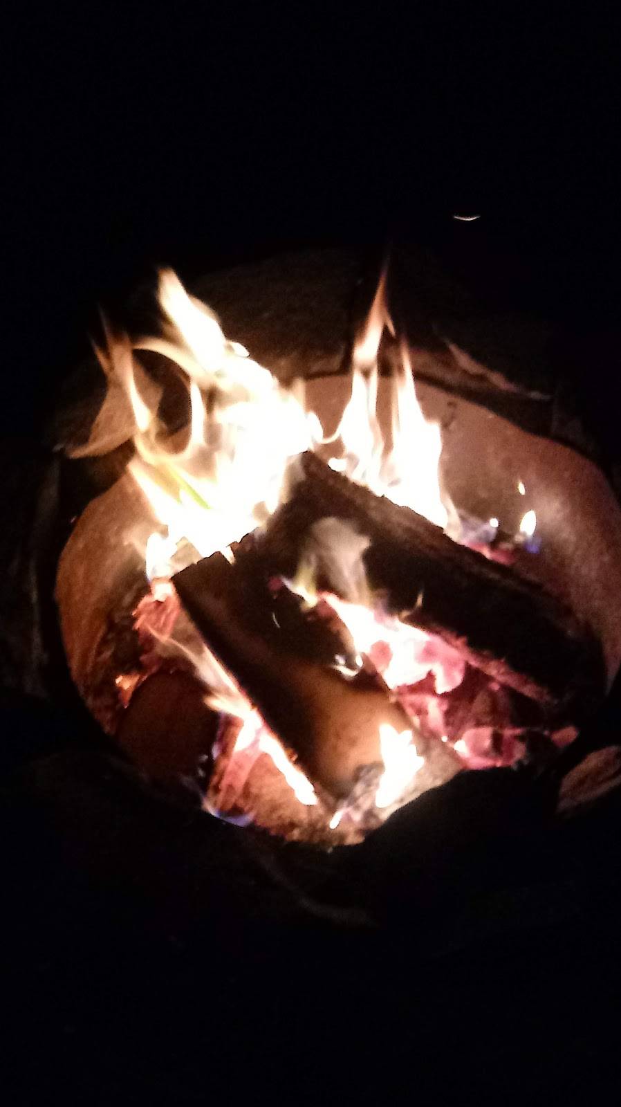 Rebels Kitchen | meal delivery | 7337 SE Foster Rd, Portland, OR 97266, USA | 5037803643 OR +1 503-780-3643