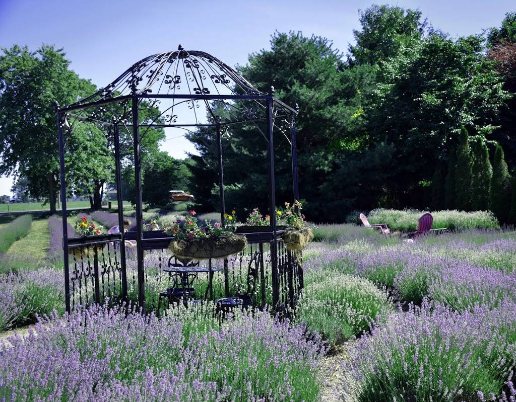 Serenity Lavender Farm Inc | restaurant | 130 Essex County Rd 50, Harrow, ON N0R 1G0, Canada | 5197386111 OR +1 519-738-6111