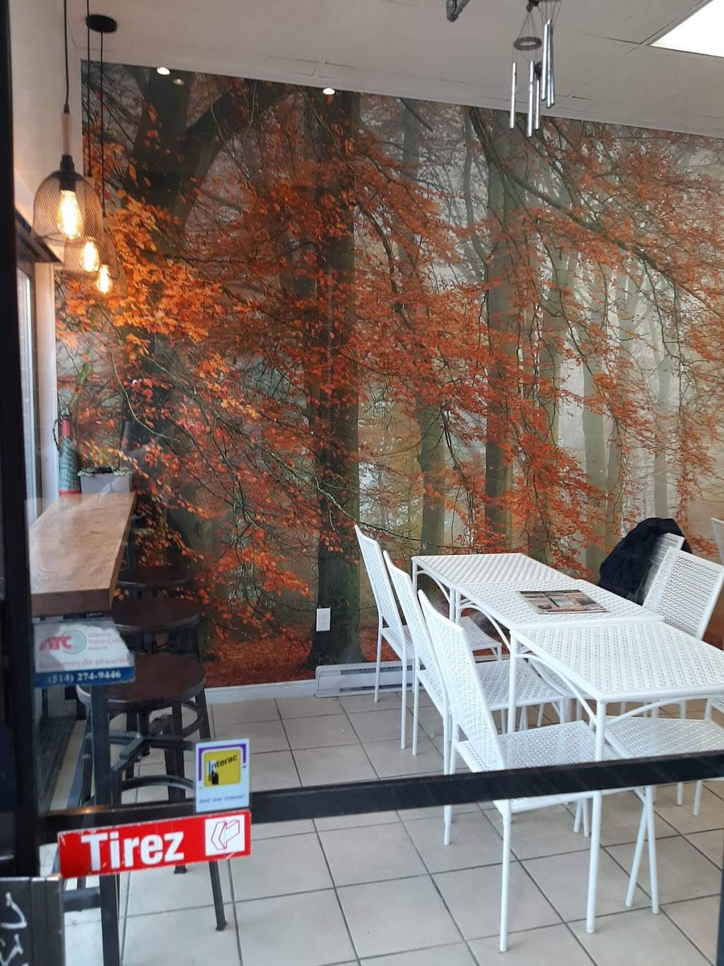 Monsieur shish-Taouk | restaurant | 775 Rue Beaubien E, Montréal, QC H2S 1S8, Canada | 5142230330 OR +1 514-223-0330