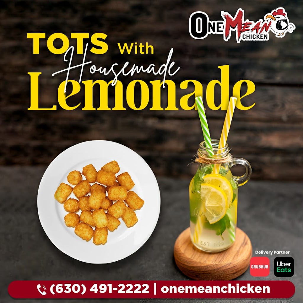One Mean Chicken | restaurant | 776 Illinois Rte 59 Suite 166, Naperville, IL 60540, USA | 6304912222 OR +1 630-491-2222