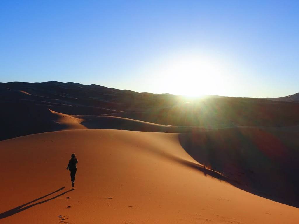 KoPita Meat | restaurant | 522 S Gay St Suite 101, Knoxville, TN 37902, USA | 8654741335 OR +1 865-474-1335