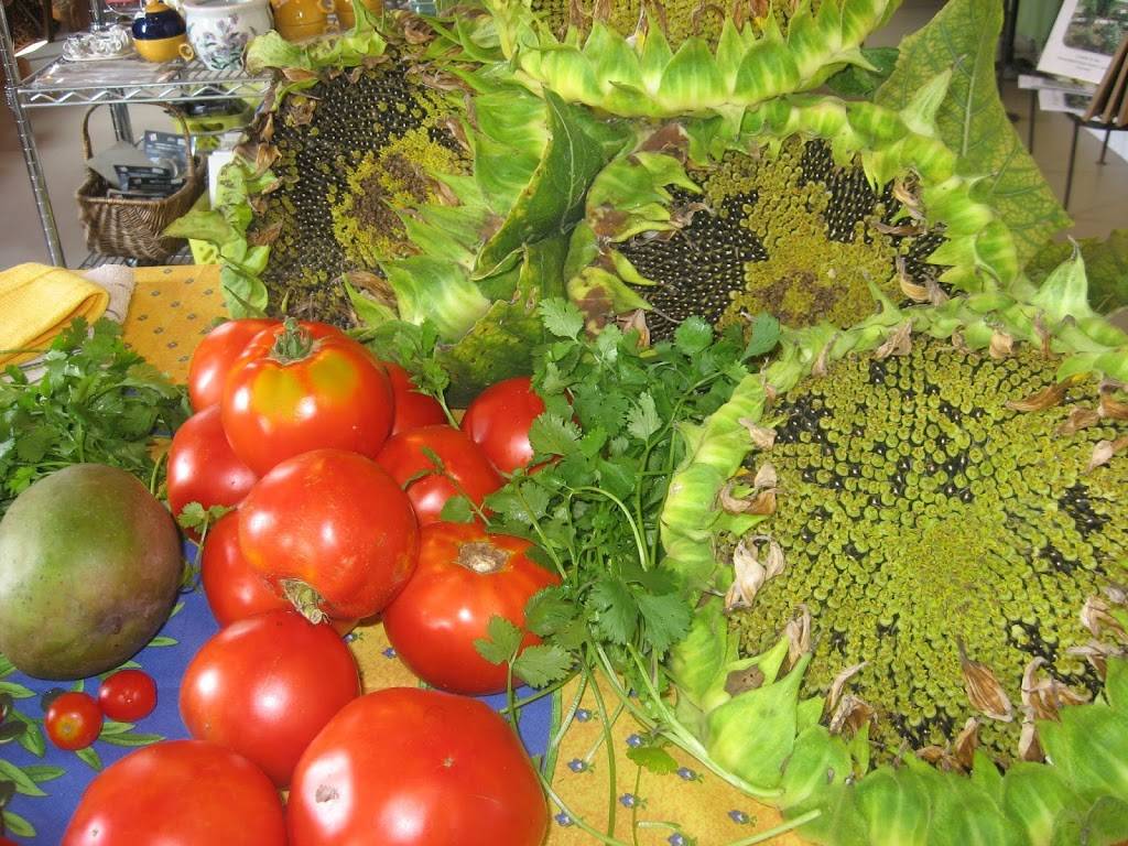 Backroom Brewery | restaurant | 150 Ridgemont Rd, Middletown, VA 22645, USA | 5408698482 OR +1 540-869-8482