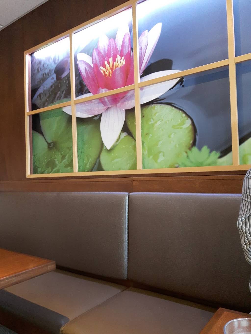 Paradis De Chine | restaurant | 741 Boulevard Saint-Joseph, Gatineau, QC J8Y 4B6, Canada | 8197719104 OR +1 819-771-9104