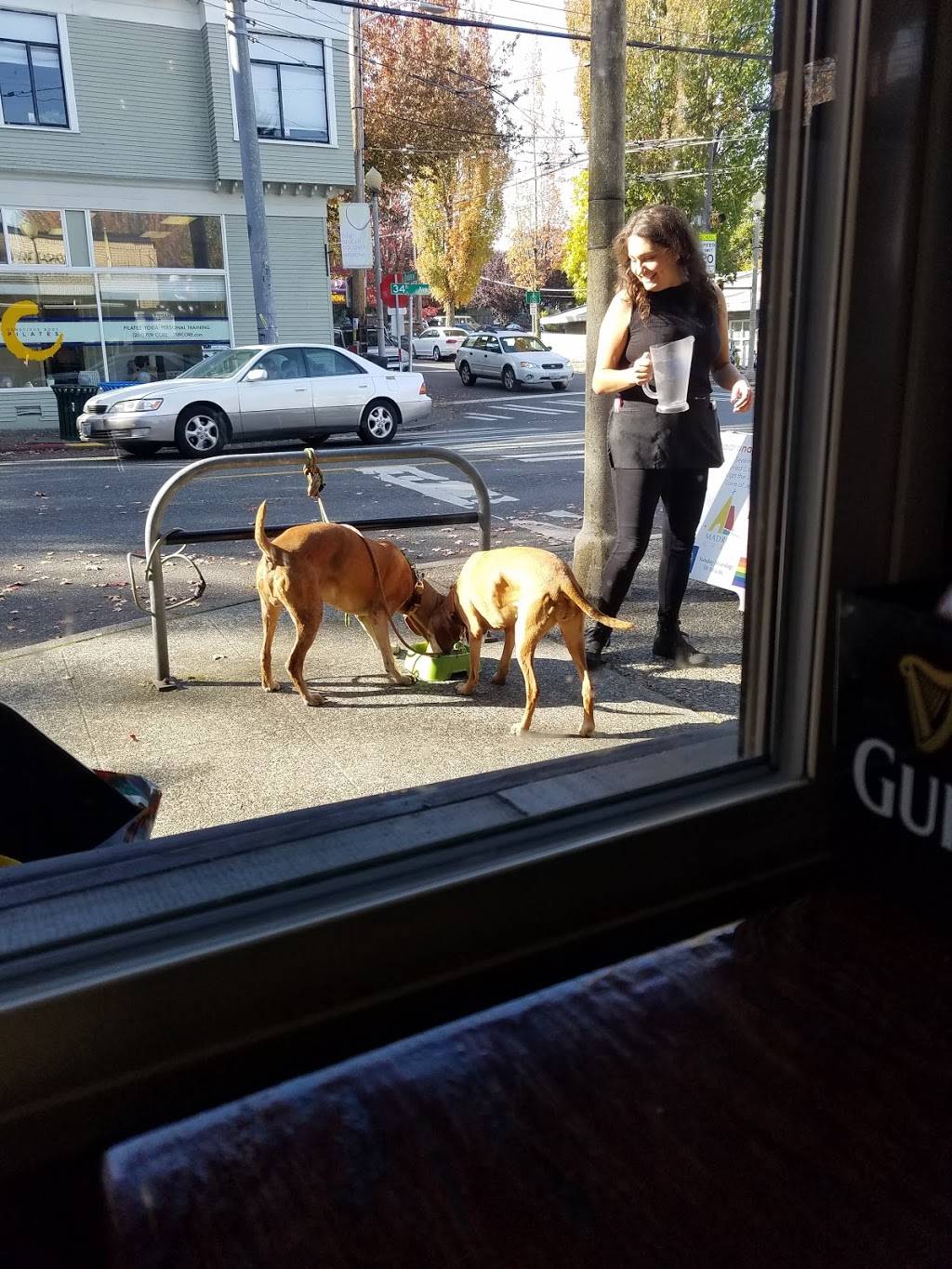 Madrona Arms | restaurant | 1138 34th Ave, Seattle, WA 98122, USA | 2067395104 OR +1 206-739-5104