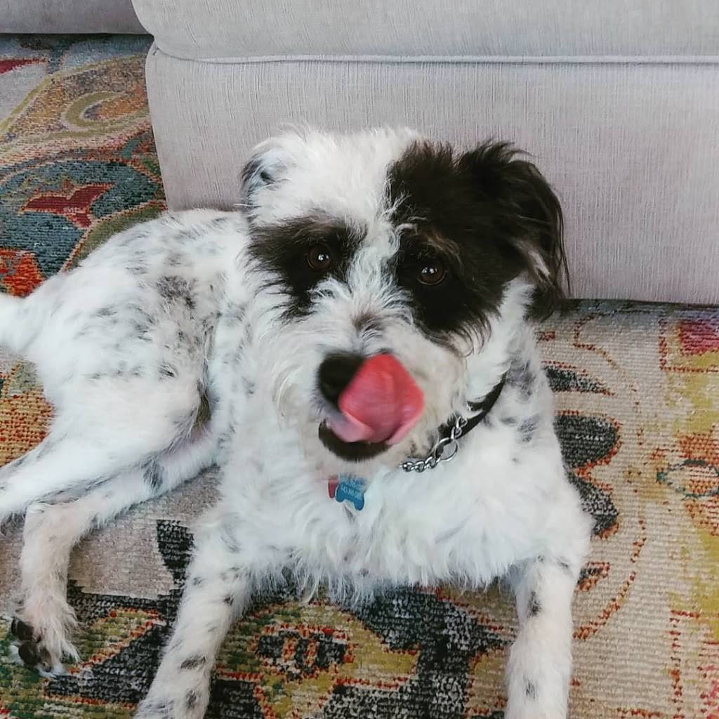 Basic Batter | bakery | 1667 W Campbell Rd, Garland, TX 75044, USA | 9403950373 OR +1 940-395-0373