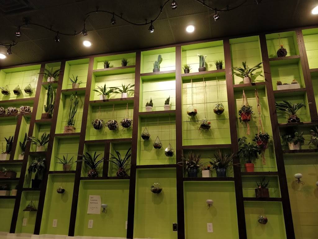 TacoRito of Robbinsville | restaurant | 2346 NJ-33, Robbinsville, NJ 08691, USA | 6092592020 OR +1 609-259-2020