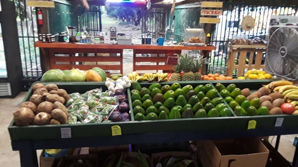 Rincón Cubano | restaurant | 14410 SW 200th St, Miami, FL 33177, USA | 3058127215 OR +1 305-812-7215