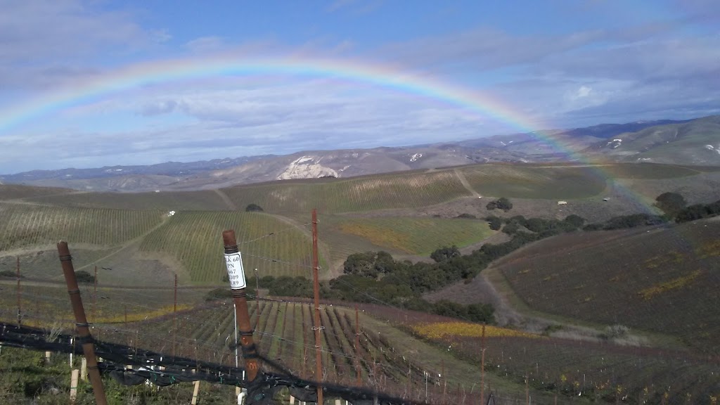 Taco Roco | restaurant | 245 Ave Of The Flags, Buellton, CA 93427, USA | 8056930939 OR +1 805-693-0939