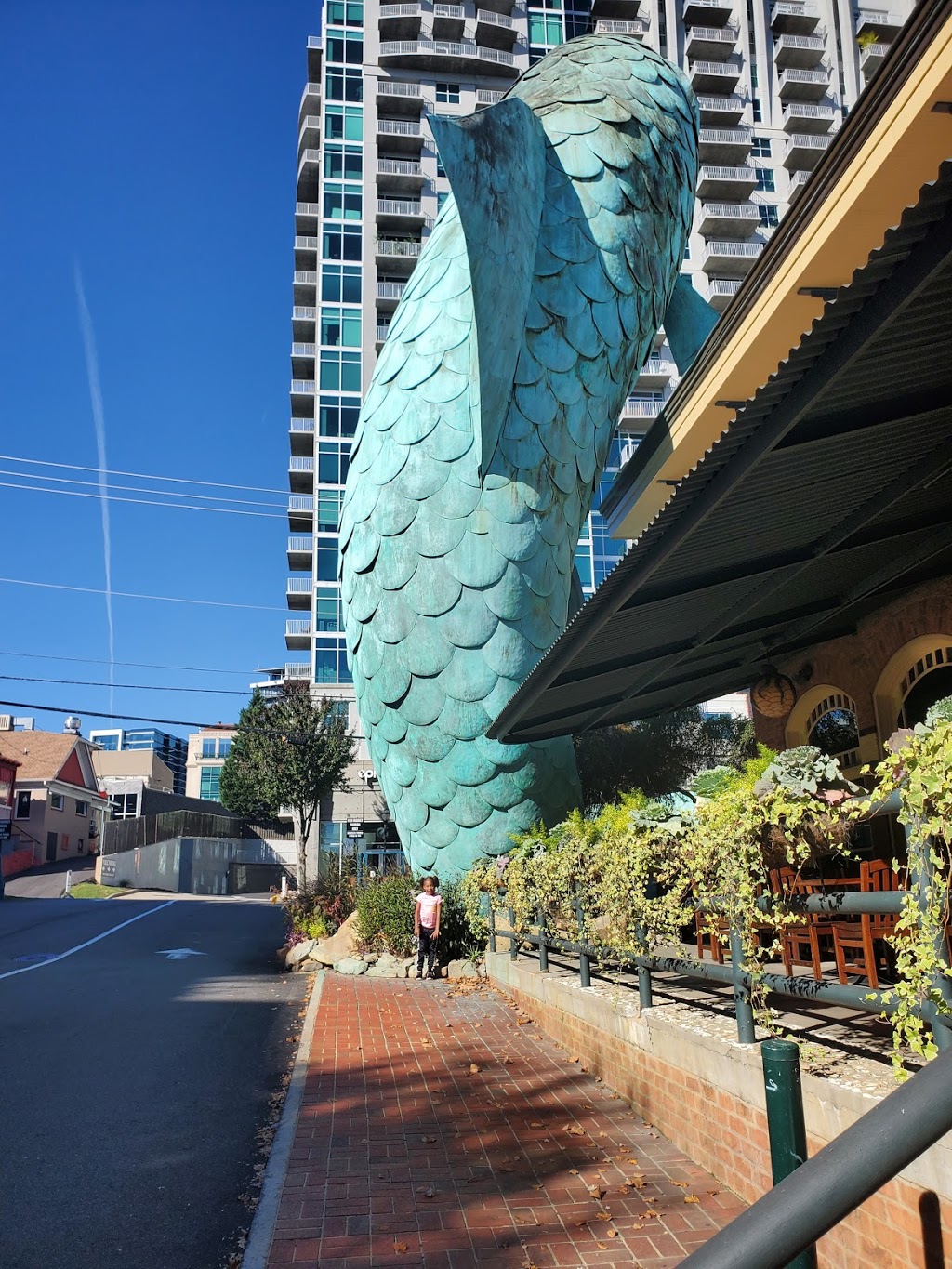 Atlanta Fish Market | restaurant | 265 Pharr Rd NE, Atlanta, GA 30305, USA | 4042623165 OR +1 404-262-3165