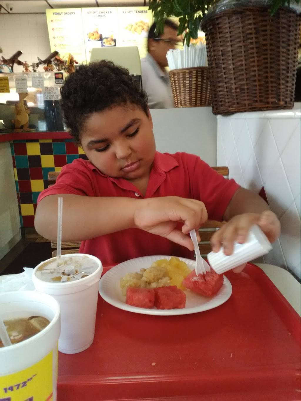 Hartz Chicken Buffet | restaurant | 5780 Hollister St, Houston, TX 77040, USA | 7134625780 OR +1 713-462-5780