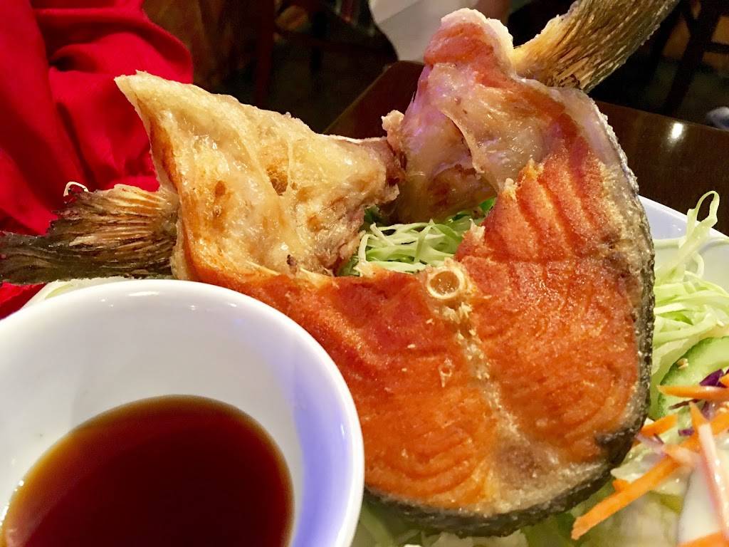 I Love Sushi | restaurant | 620 W Covell Blvd Suit Number - B, Davis, CA 95616, USA | 5307584560 OR +1 530-758-4560