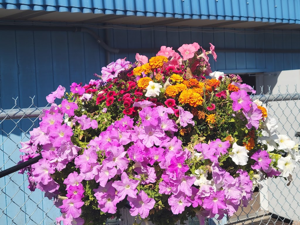 Mi Pueblo Authentic Mexican Restaurant | restaurant | 5436 U.S. Rte 2, Priest River, ID 83856, USA | 2084480115 OR +1 208-448-0115