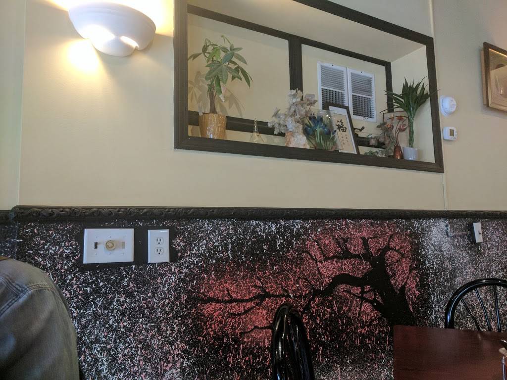 Flavors of Asia | restaurant | 831 S Clinton Ave, Rochester, NY 14620, USA | 5852562310 OR +1 585-256-2310