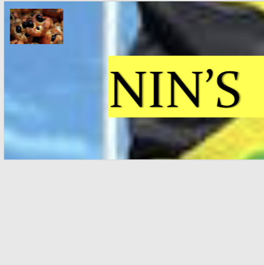 Nins | restaurant | 1049 Hudson Ave, Rochester, NY 14621, USA | 5853635928 OR +1 585-363-5928