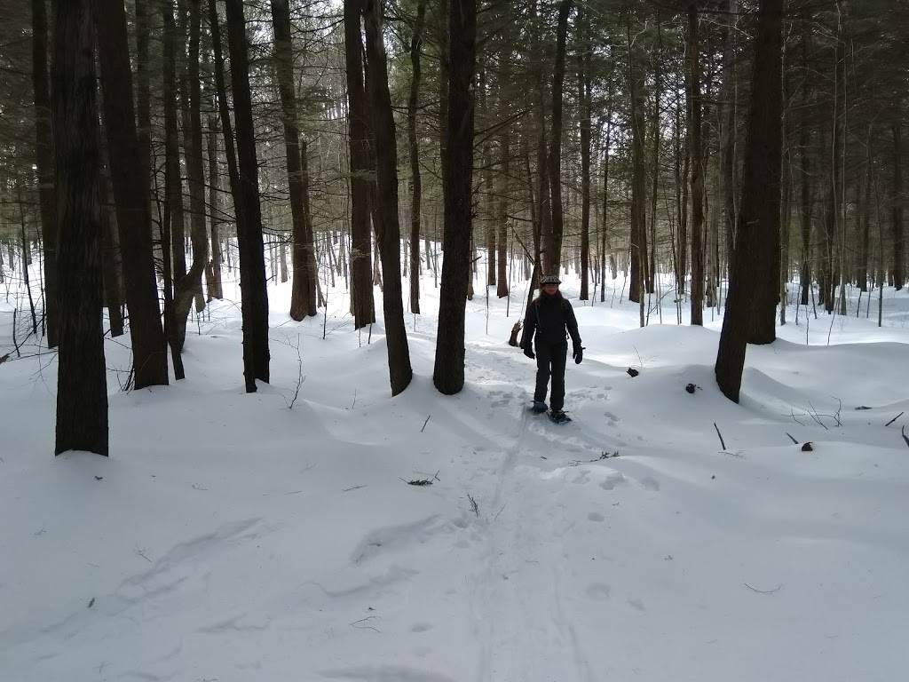 The Full Course at Brookhaven Golf Course | restaurant | 333 Alpine Meadows Rd, Porter Corners, NY 12859, USA | 5188932809 OR +1 518-893-2809