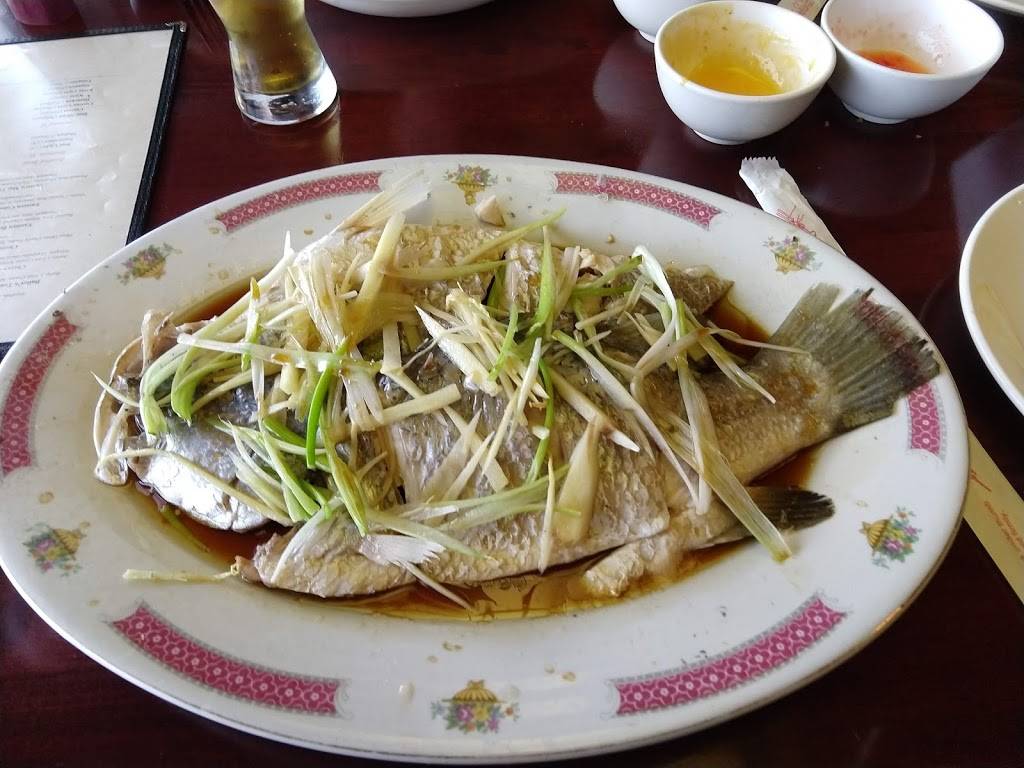 Eastern Pearl | restaurant | 938 Maple Rd, Buffalo, NY 14221, USA | 7162048898 OR +1 716-204-8898