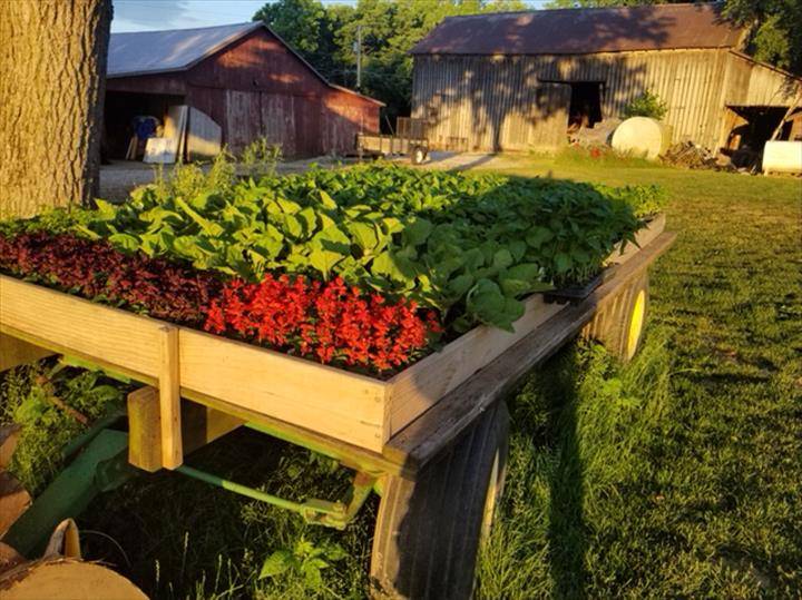 Valentino Italian Cuisine | restaurant | 211 N Walnut St, Crawfordsville, IN 47933, USA | 7653072329 OR +1 765-307-2329