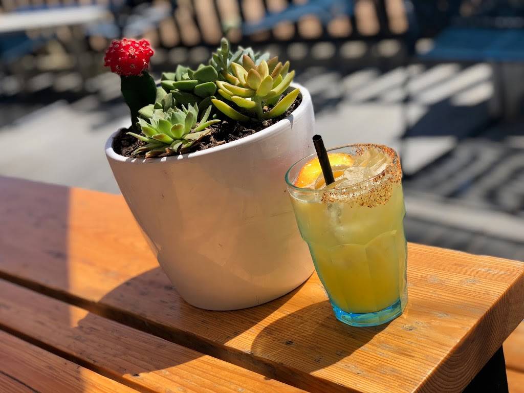 Taco Heads | restaurant | 1921 N Henderson Ave, Dallas, TX 75206, USA | 4697790143 OR +1 469-779-0143