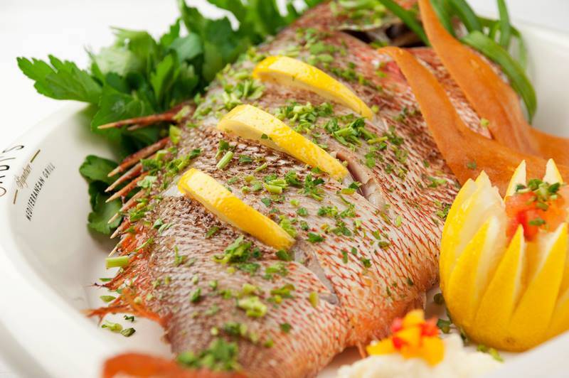 Fadi’s Mediterranean Grill - Katy | restaurant | 10403 Katy Fwy #150, Houston, TX 77024, USA | 8328311177 OR +1 832-831-1177