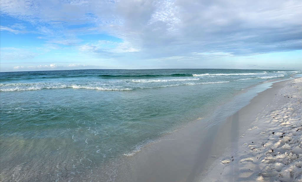 The Whales Tail Beach Bar & Grill | restaurant | 1373 Scenic Gulf Dr, Miramar Beach, FL 32550, USA | 8506504377 OR +1 850-650-4377