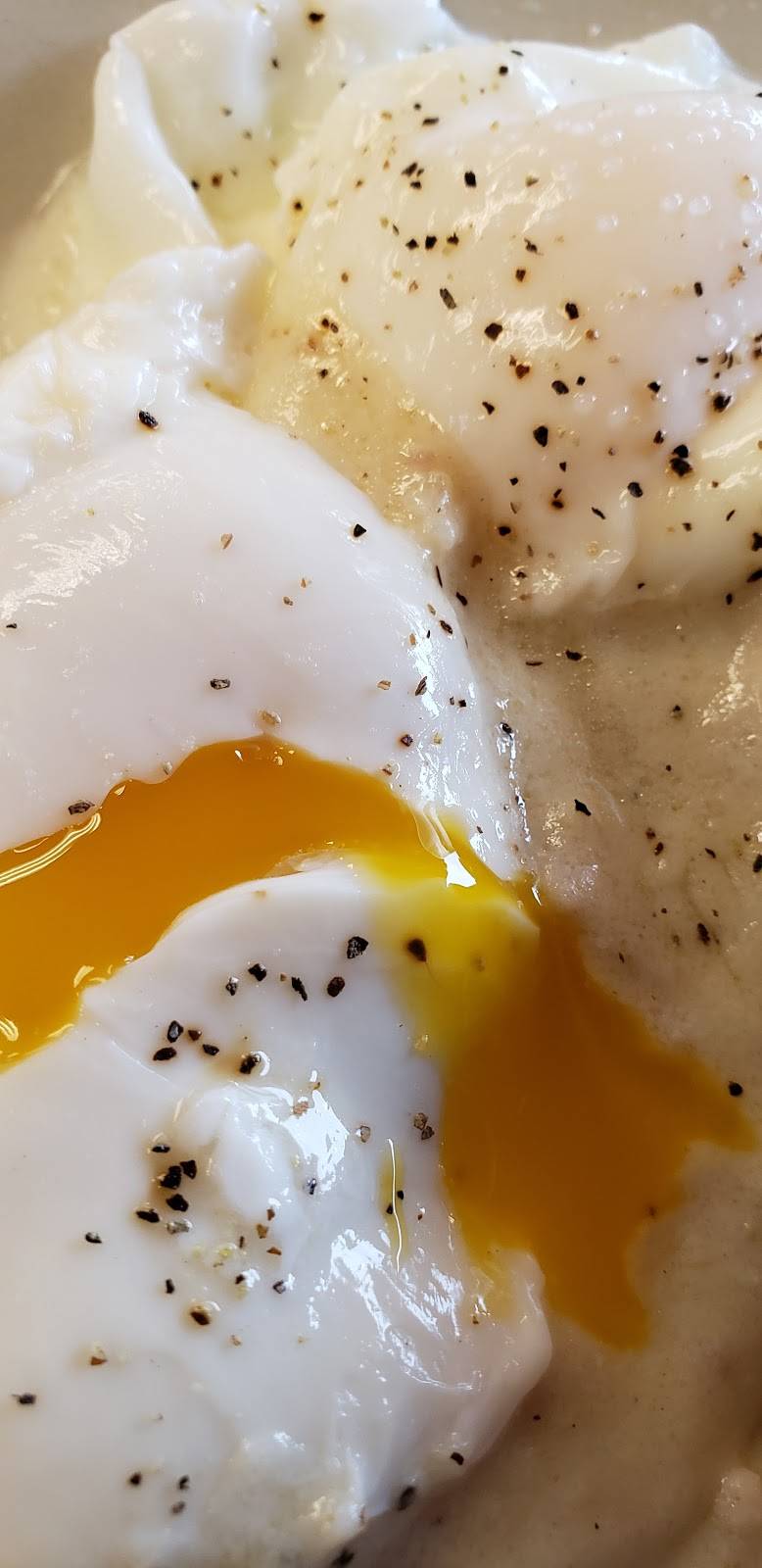 Woodys Cafe | restaurant | 235 N Pontiac Trail, Walled Lake, MI 48390, USA | 2486244379 OR +1 248-624-4379