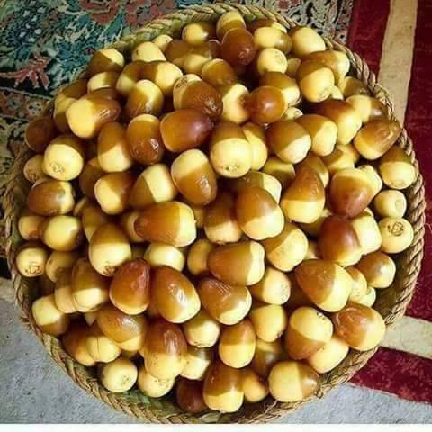 Emilia | restaurant | 16 Market Square, Knoxville, TN 37902, USA | 8653132472 OR +1 865-313-2472