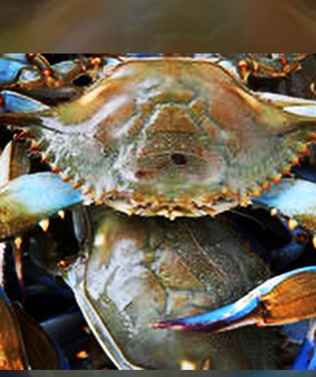 The Crab Lady | restaurant | 2207 Gordon Ln, Richmond, VA 23223, USA | 8042222722 OR +1 804-222-2722