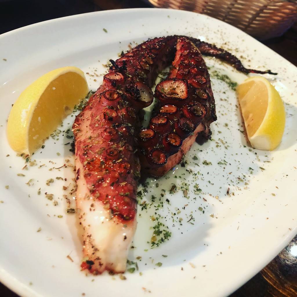 BARaki | cafe | 25 Dodecanese Blvd, Tarpon Springs, FL 34689, USA | 7279357470 OR +1 727-935-7470