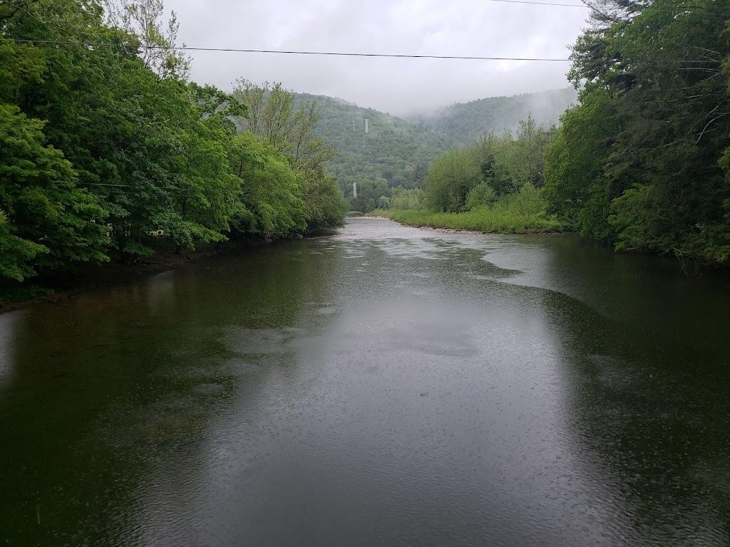 Forksville Inn & Tavern Inc. | restaurant | 5048 PA-87, Forksville, PA 18616, USA | 5709243916 OR +1 570-924-3916